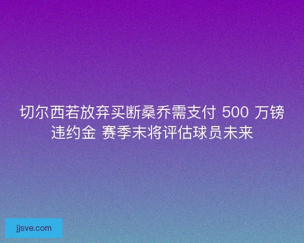 切尔西若放弃买断桑乔需支付 500 万镑违约金 赛季末将评估球员未来